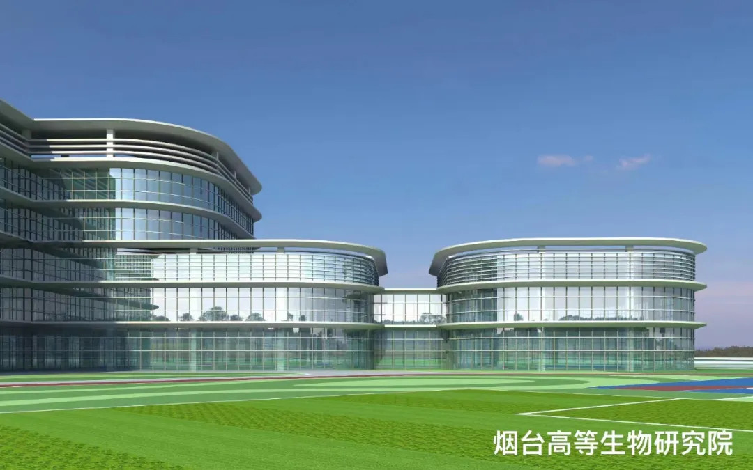 大跨度 高精度 超節(jié)能|鳳鋁助力煙臺城市更新，展登州新貌